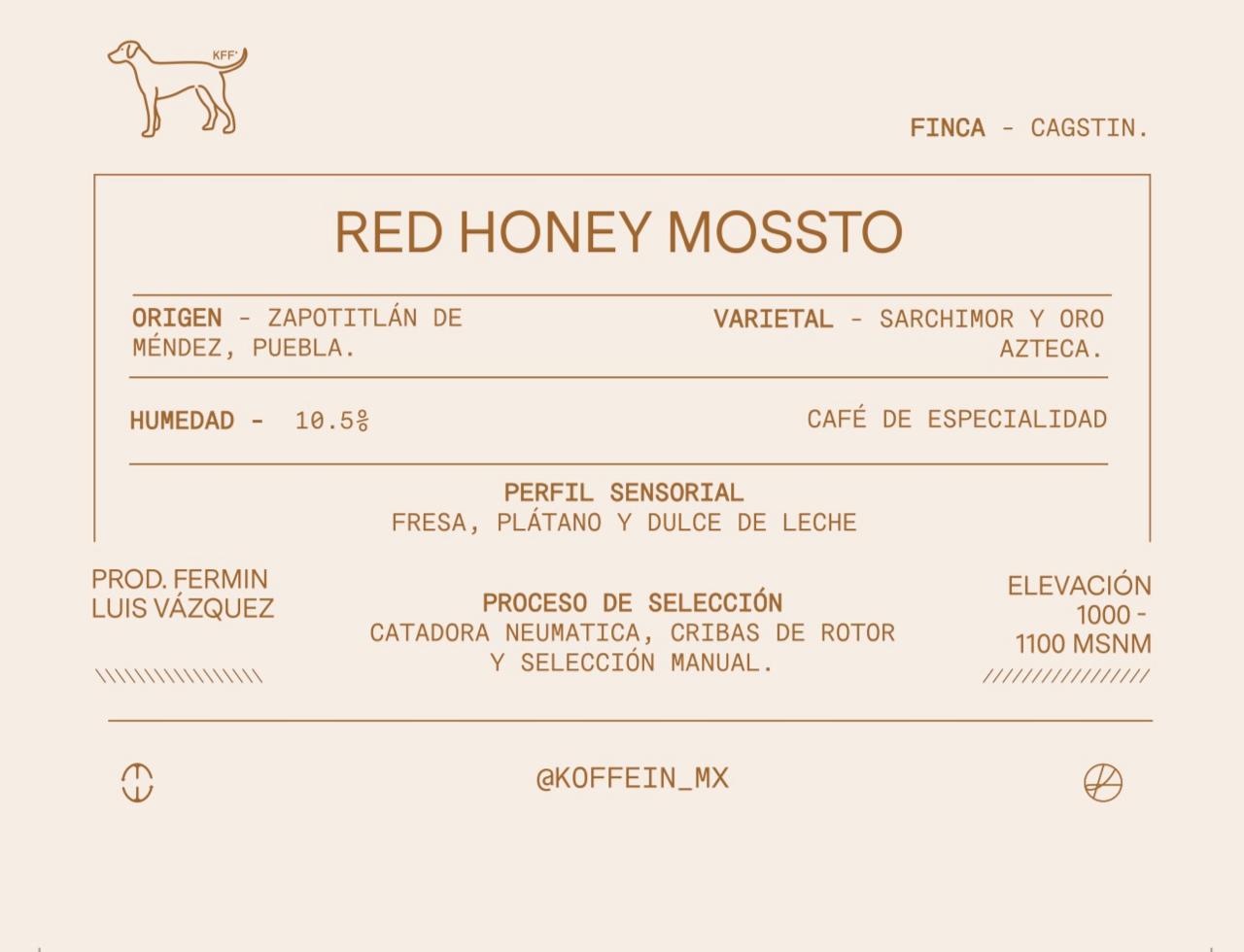 Red Honey fermentación con Mossto, Zapotitlan de Mendez, Puebla