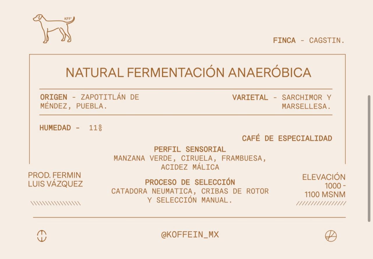 Natural con Fermentación Anaeróbica, Zapotitlan de Mendez, Puebla