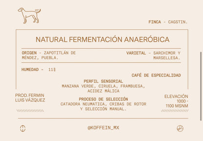 Natural con Fermentación Anaeróbica, Zapotitlan de Mendez, Puebla