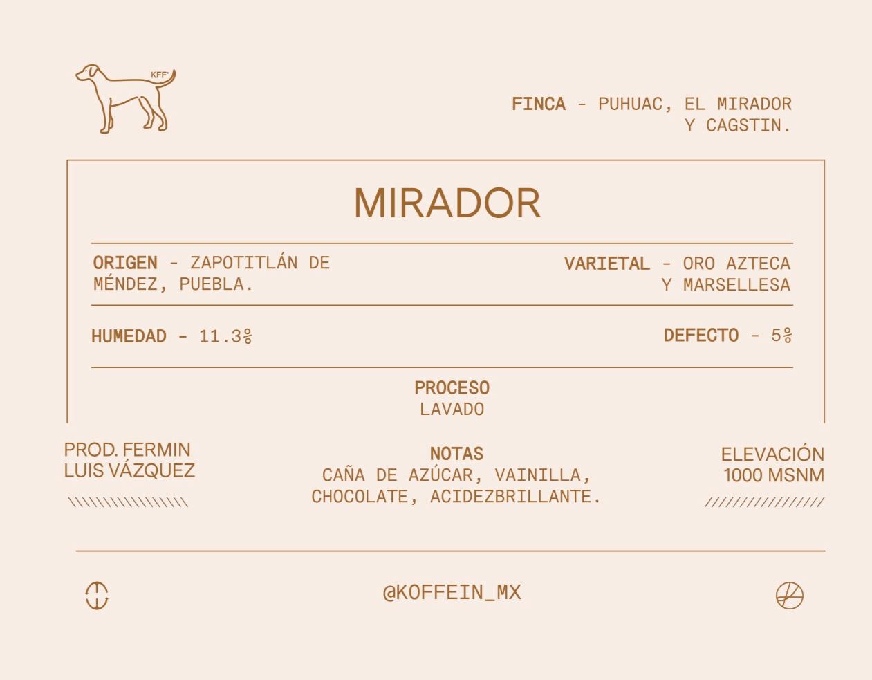 El Mirador, Proceso Lavado, Zapotitlán de Mendez, Puebla