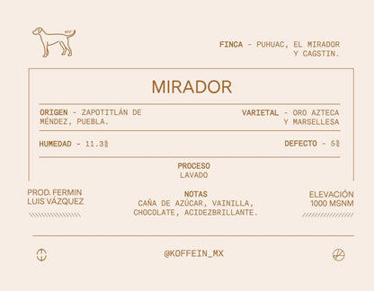 El Mirador, Proceso Lavado, Zapotitlán de Mendez, Puebla